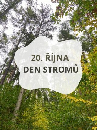 Věděli jste, že dnes je Den stromů? 🌳 Připomínáme, že u nás můžete ke svému nákupu přidat i strom za 87 Kč 🌱 Díky vám už...